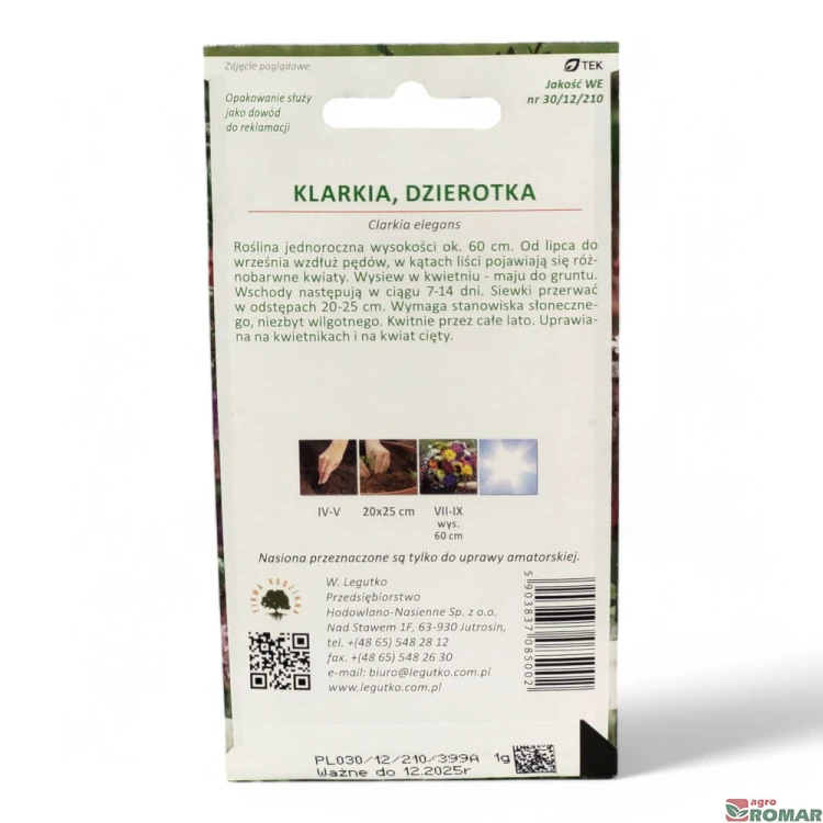 Klarkia, Dzierotka (2).jpg