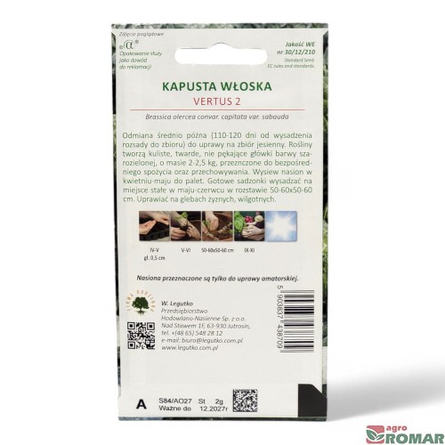 Kapusta włoska vertus 2(2).jpg
