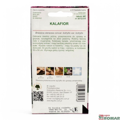 Kalafior fioletowy(2).jpg