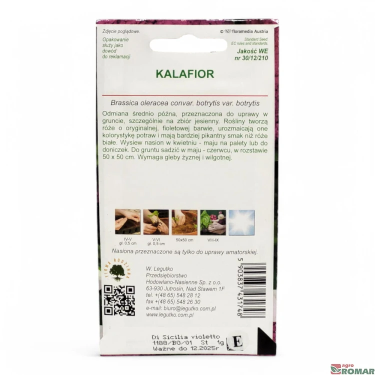 Kalafior fioletowy(2).jpg