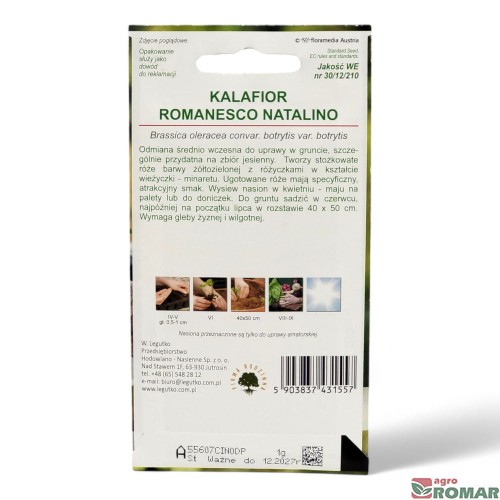 Kalafior romanesco natalino(2).jpg