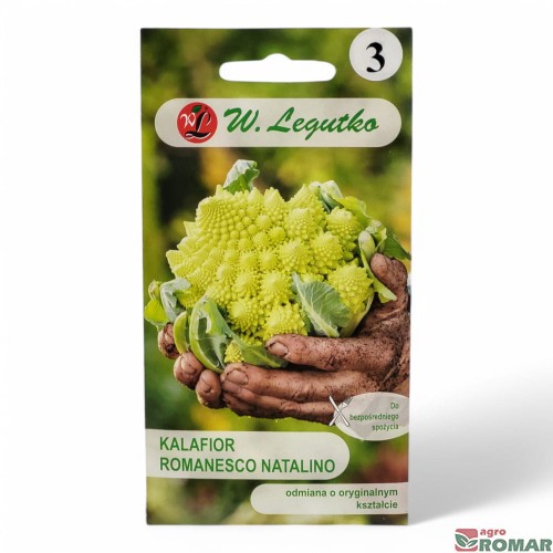 Kalafior romanesco natalino.jpg