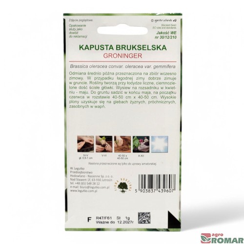 Kapusta brukselka groninger(2).jpg