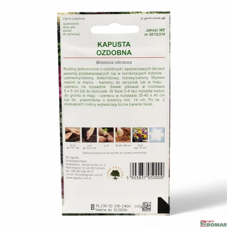 Kapusta Ozdobna(2).jpg