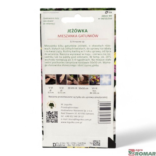 Jeżówka mieszanka gatunków(2).jpg