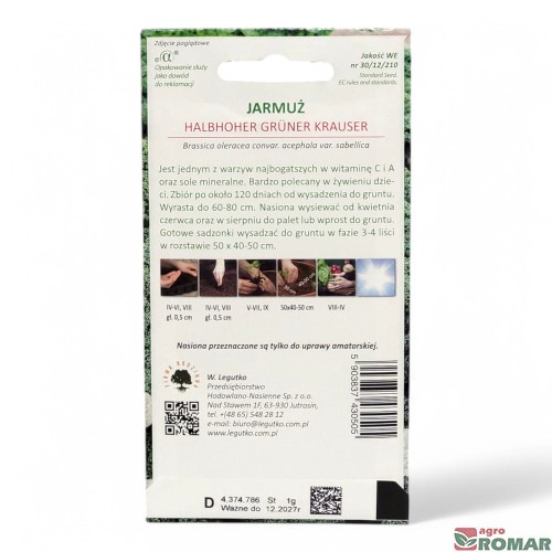 Jarmuż halbhoher gruner krauser(2).jpg