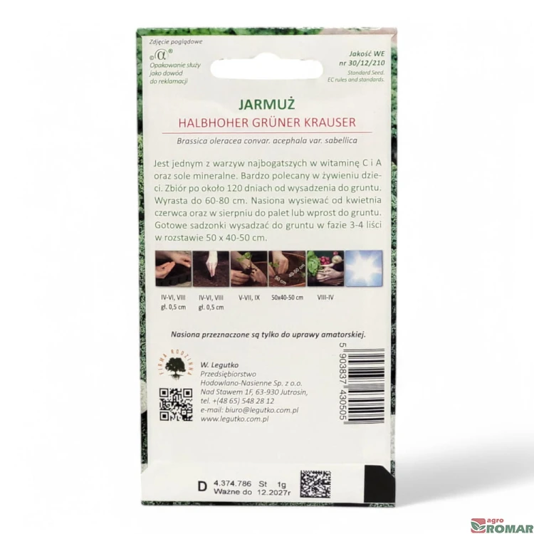 Jarmuż halbhoher gruner krauser(2).jpg