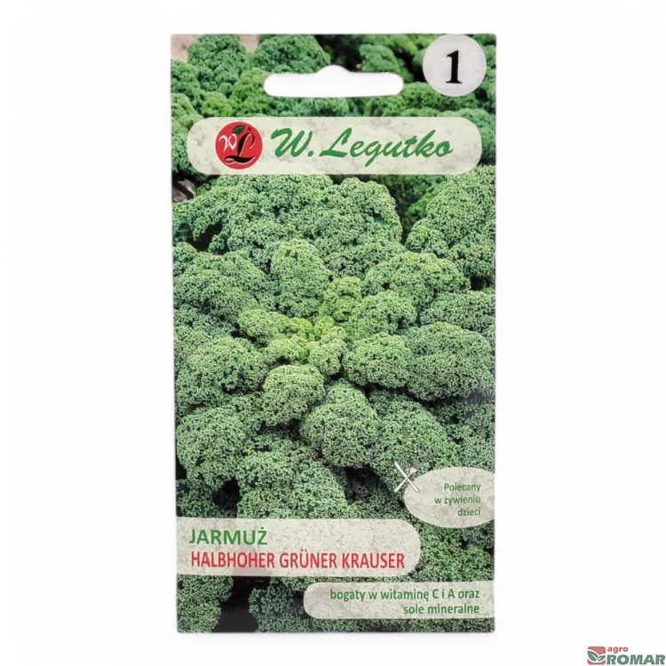 Jarmuż halbhoher gruner krauser.jpg