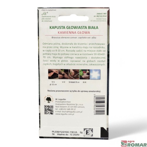 Kapusta głowiasta biała kamienna głowa nr2(2).jpg