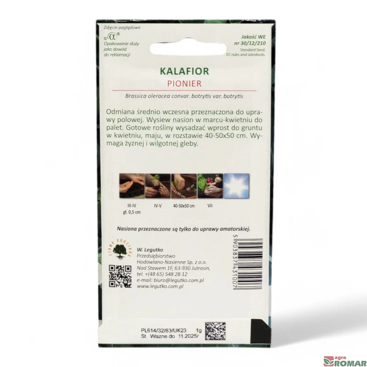 Kalafior pionier(2).jpg