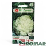 Kalafior Pionier 1g, W. Legutko