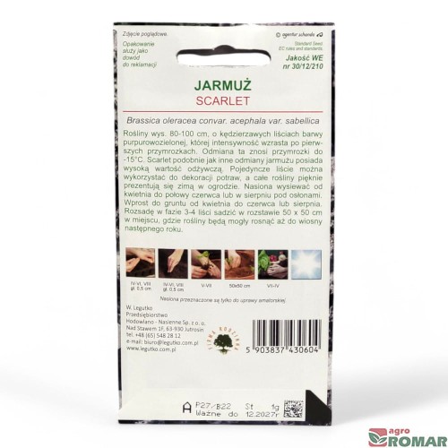 Jarmuż scarlet(2).jpg
