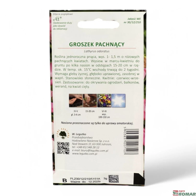 Groszek Pachnący(2).jpg