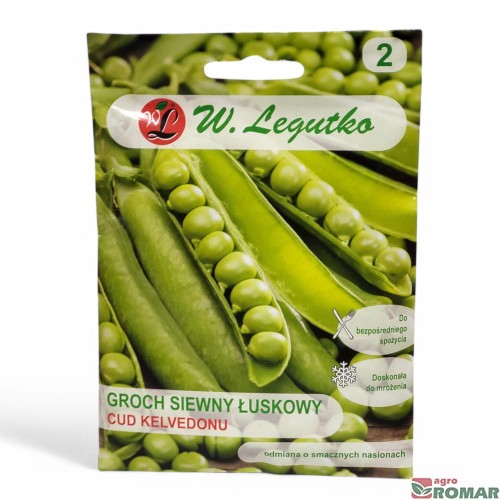 Groch siewny łuskowy cud kelvedonu nr2.jpg