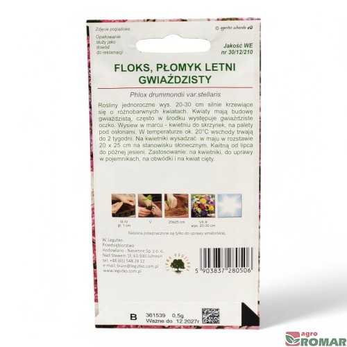 Floks, płomyk letni gwiaździsty(2).jpg