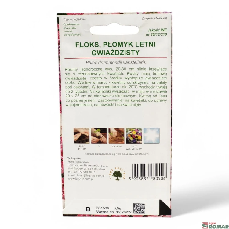 Floks, płomyk letni gwiaździsty(2).jpg