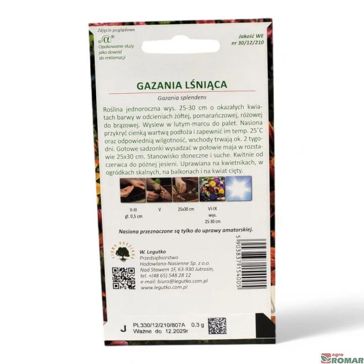Gazania lśniąca(2).jpg