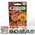 Gazania lśniąca.jpg