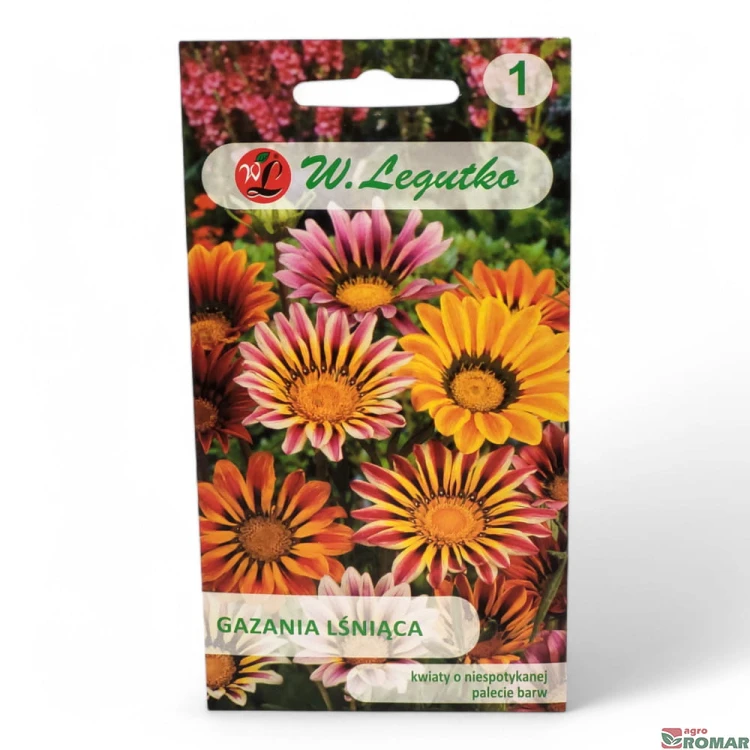 Gazania lśniąca.jpg