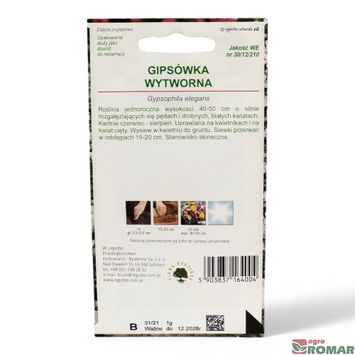 Gipsówka Wytworna biała(2).jpg