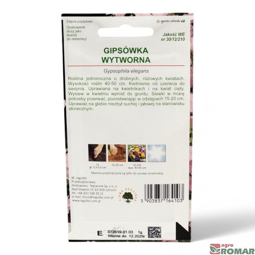 Gipsówka Wytworna różowa(2).jpg