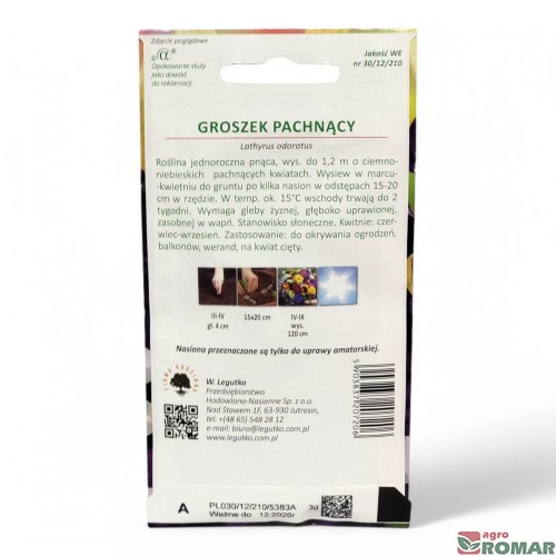 Groszek Pachnący fioletowy(2).jpg