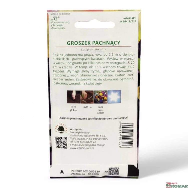 Groszek Pachnący fioletowy(2).jpg