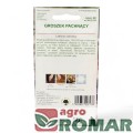 Groszek Pachnący mix(2).jpg