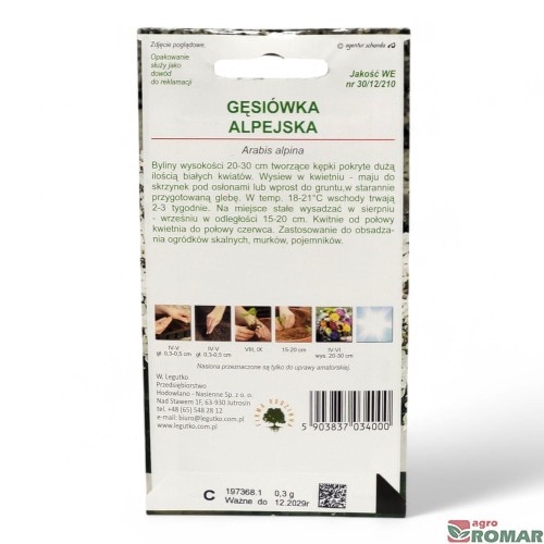 Gęsiówka alpejska(2).jpg