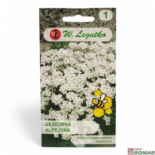 Gęsiówka alpejska.jpg