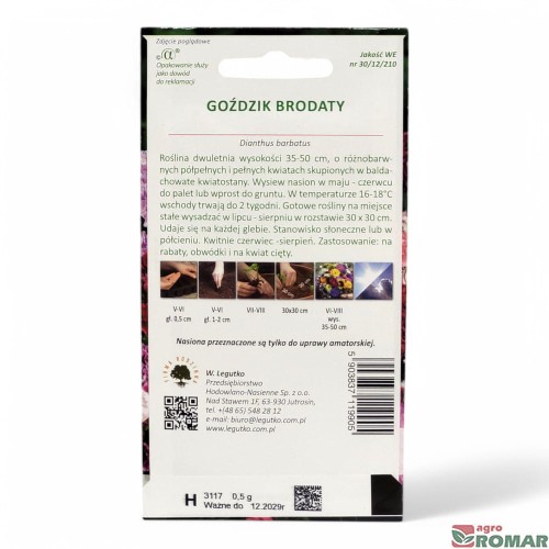 Goździk brodaty(2).jpg