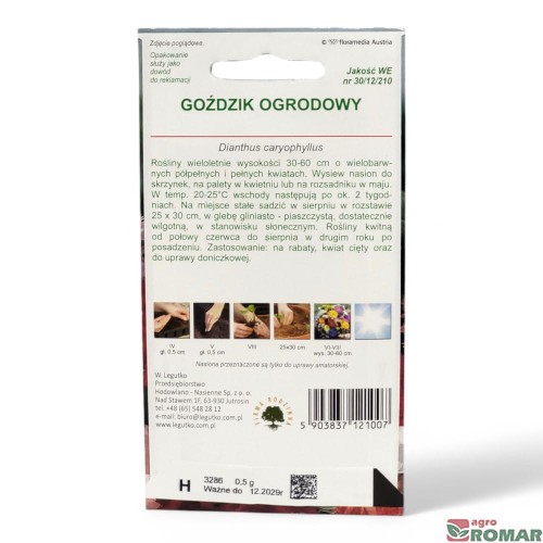 Goździk ogrodowy(2).jpg
