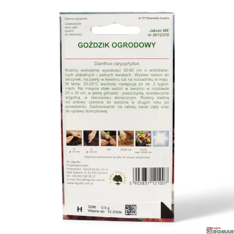 Goździk ogrodowy(2).jpg