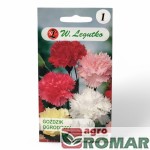 Goździk ogrodowy mieszanka pełna 0.50g, W. Legutko