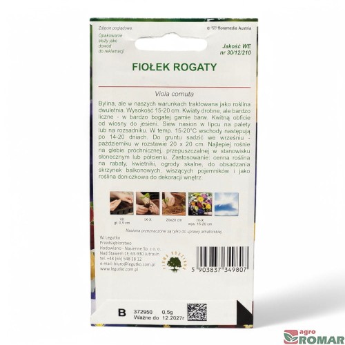 Fiołek rogaty(2).jpg