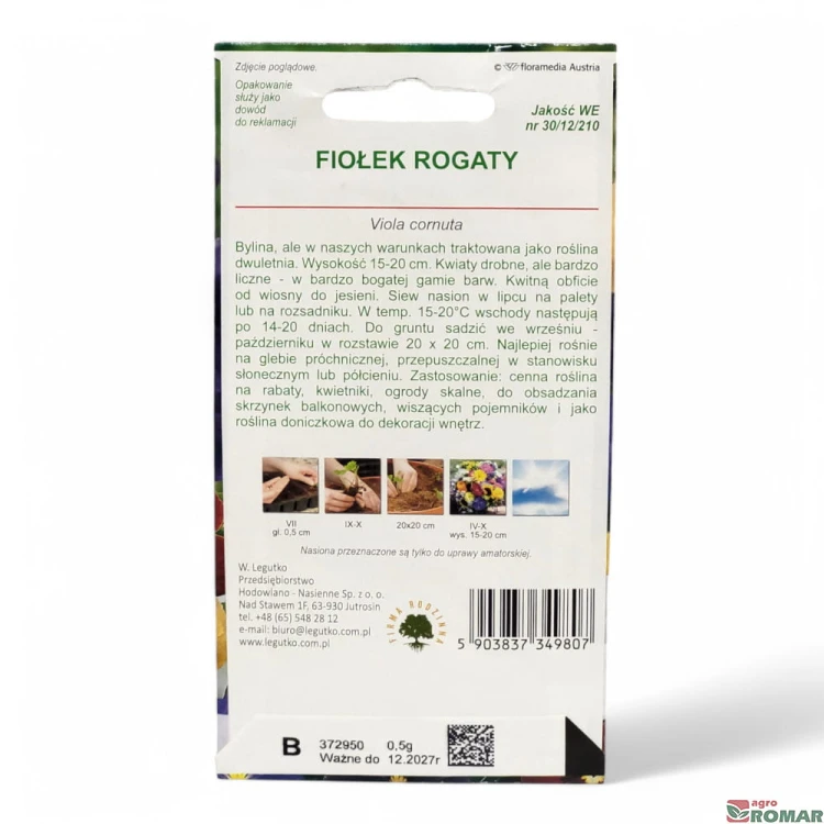 Fiołek rogaty(2).jpg