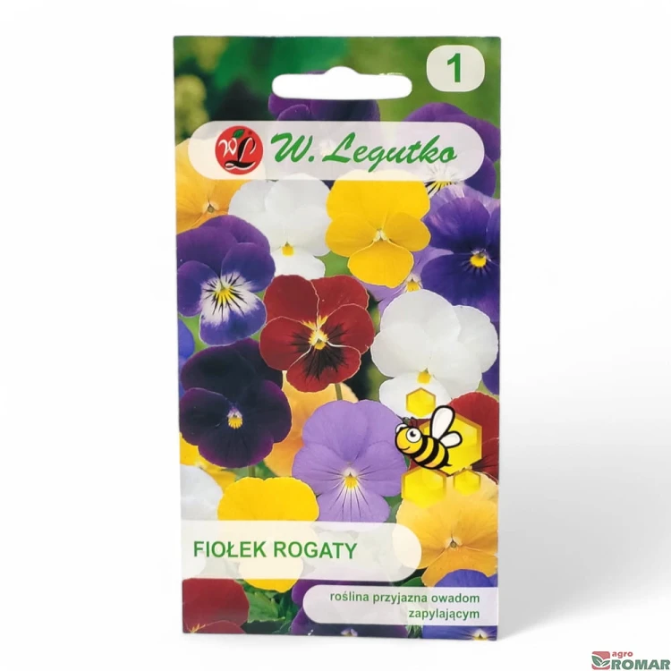 Fiołek rogaty.jpg