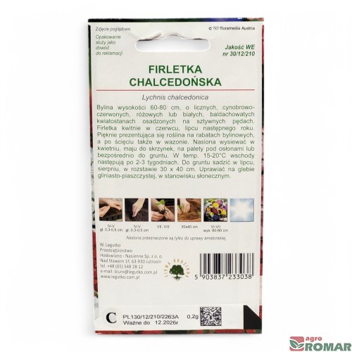 Firletka chalcedońska(2).jpg