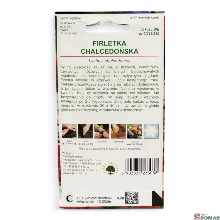 Firletka chalcedońska(2).jpg