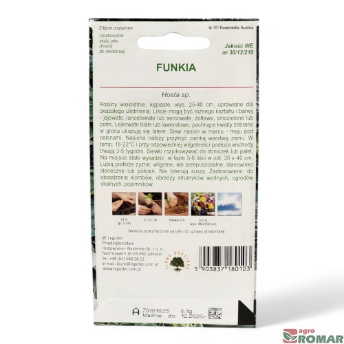 Funkia(2).jpg