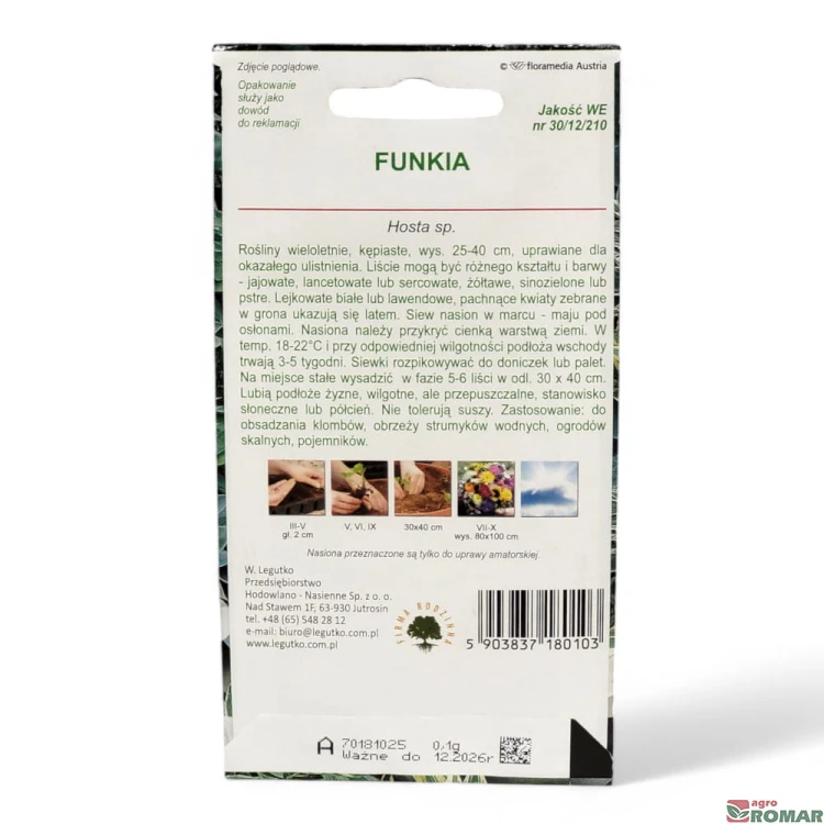 Funkia(2).jpg