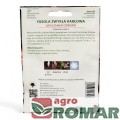 Fasola zwykła karłowa szparagowa mieszanka(2).jpg