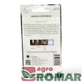 Fasola Ozdobna(2).jpg
