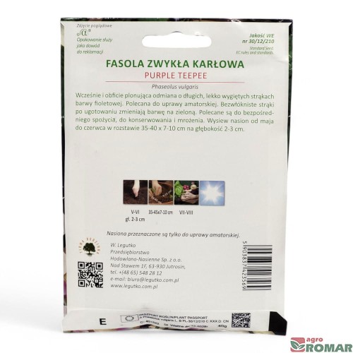Fasola zwykła karłowa szparagowa purple teepee(2).jpg