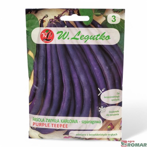 Fasola zwykła karłowa szparagowa purple teepee.jpg