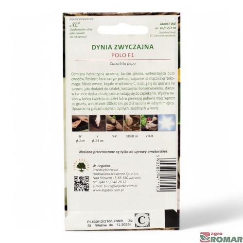 Dynia zwyczajna Patison polo(2).jpg