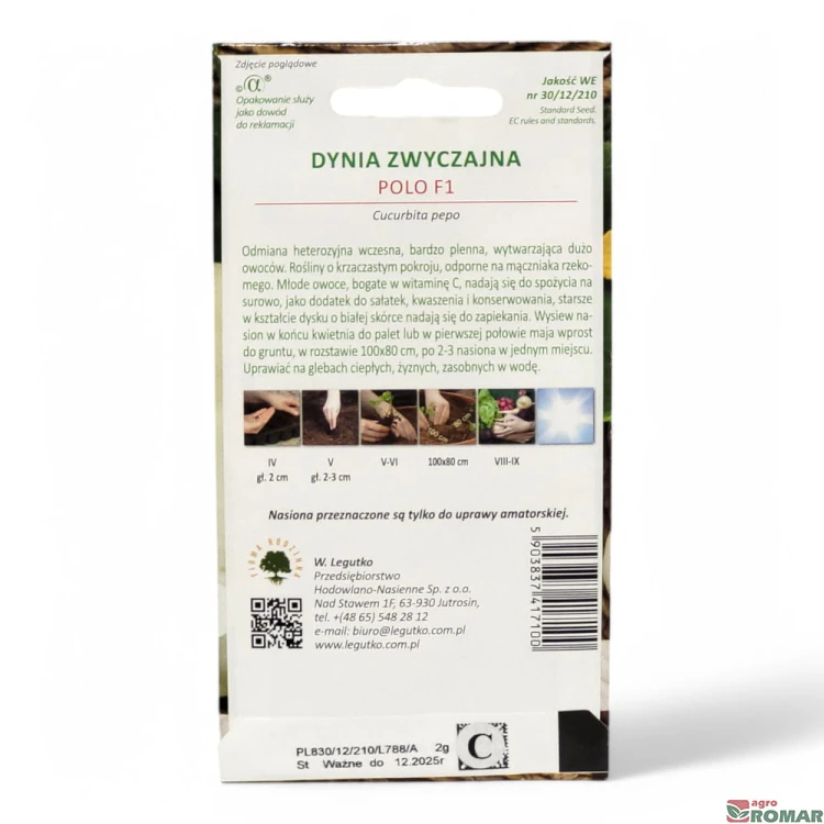 Dynia zwyczajna Patison polo(2).jpg
