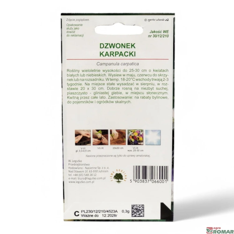 Dzwonek karpacki(2).jpg