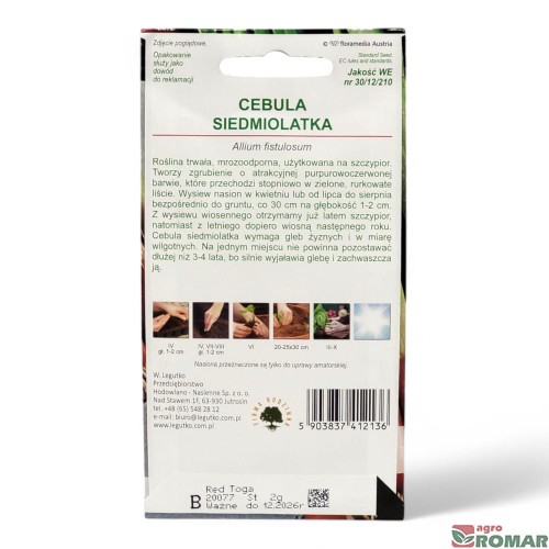 Cebula siedmiolatka(2).jpg