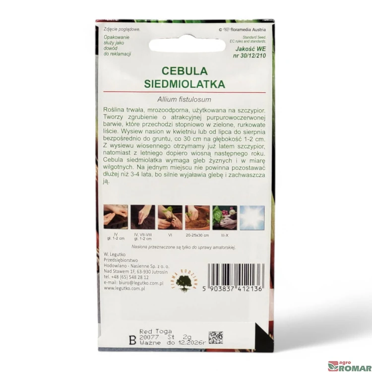Cebula siedmiolatka(2).jpg